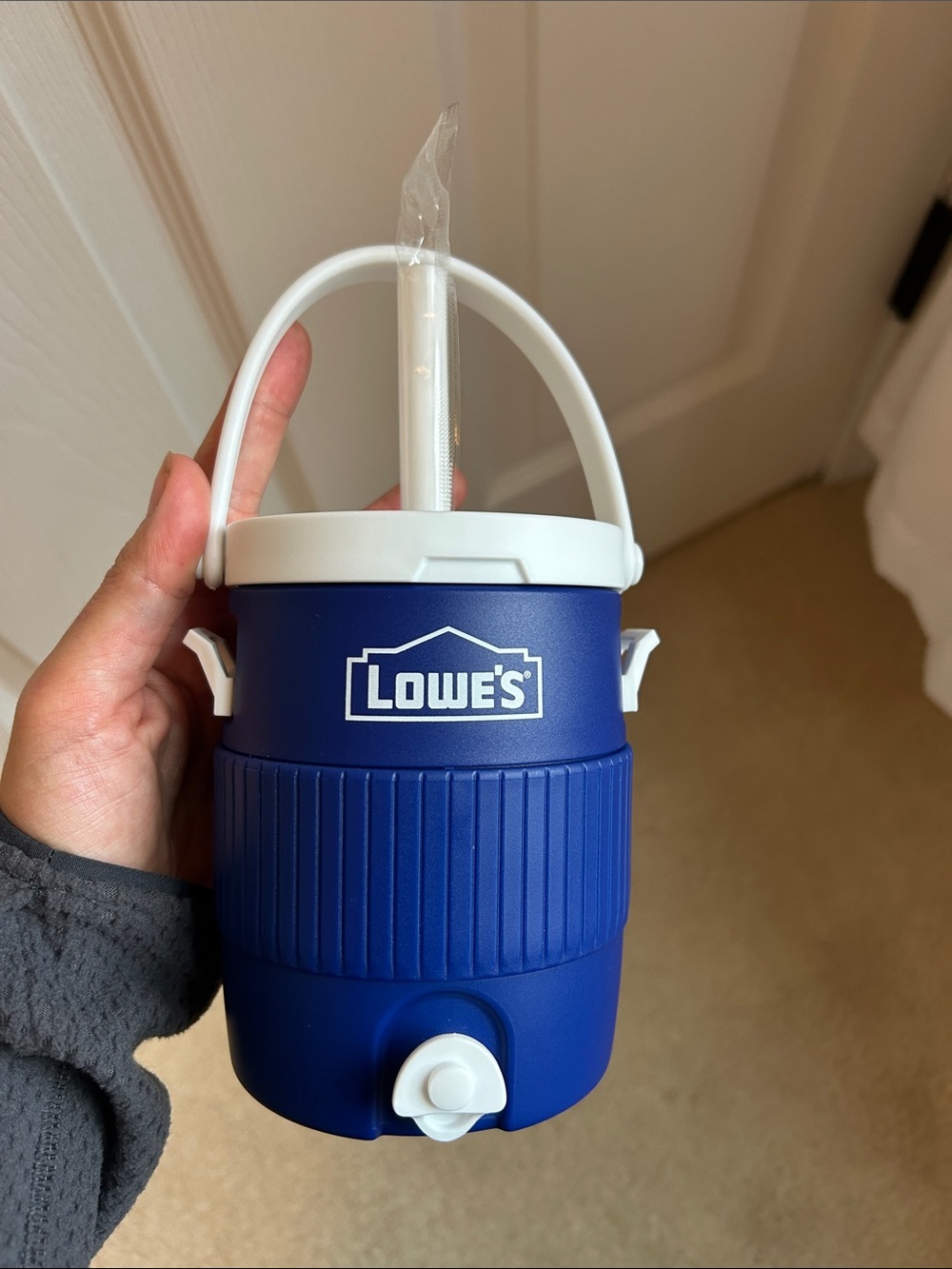 Lowe’s mini cooler cup